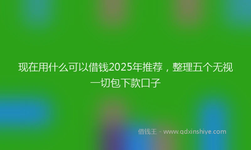 现在用什么可以借钱2025年推荐，整理五个无视一切包下款口子