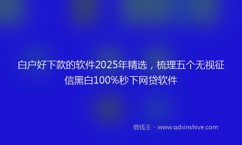 白户好下款的软件2025年精选，梳理五个无视征信黑白100%秒下网贷软件