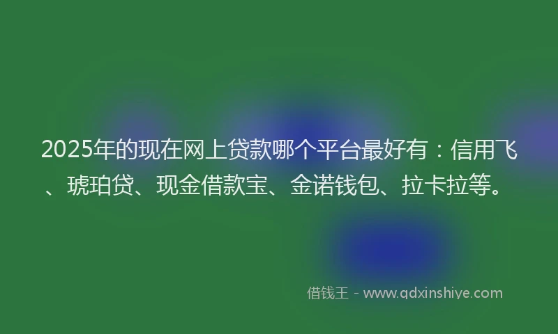 2025年的现在网上贷款哪个平台最好有：信用飞、琥珀贷、现金借款宝、金诺钱包、拉卡拉等。