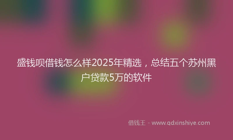 盛钱呗借钱怎么样2025年精选，总结五个苏州黑户贷款5万的软件