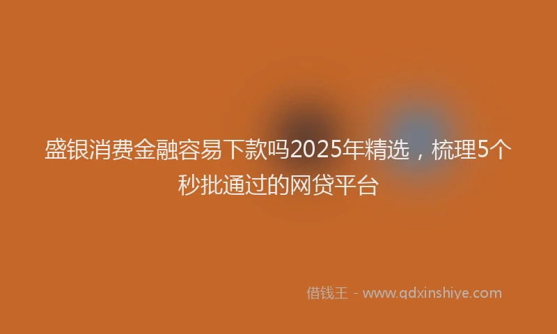 盛银消费金融容易下款吗2025年精选，梳理5个秒批通过的网贷平台
