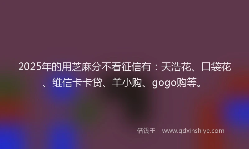 2025年的用芝麻分不看征信有：天浩花、口袋花、维信卡卡贷、羊小购、gogo购等。