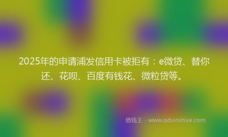 2025年的申请浦发信用卡被拒有：e微贷、替你还、花呗、百度有钱花、微粒贷等。