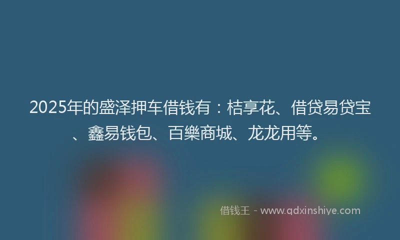 2025年的盛泽押车借钱有：桔享花、借贷易贷宝、鑫易钱包、百樂商城、龙龙用等。