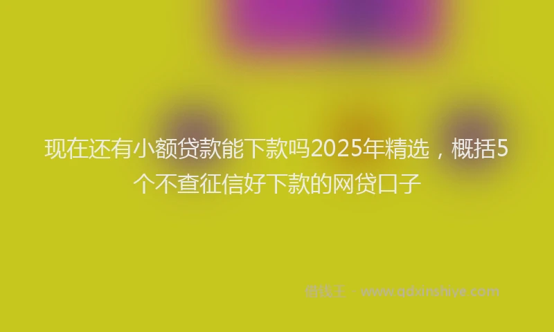 现在还有小额贷款能下款吗2025年精选，概括5个不查征信好下款的网贷口子