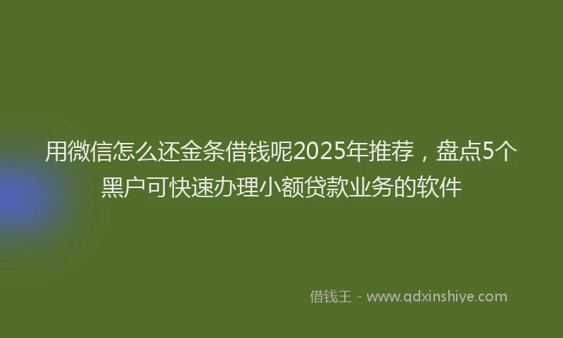 用微信怎么还金条借钱呢2025年推荐，盘点5个黑户可快速办理小额贷款业务的软件