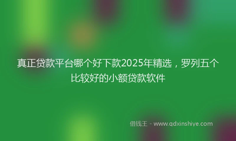 真正贷款平台哪个好下款2025年精选，罗列五个比较好的小额贷款软件
