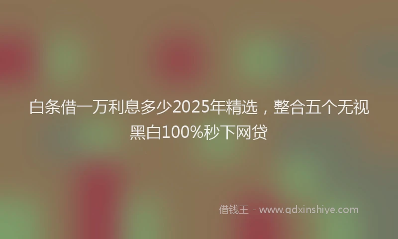 白条借一万利息多少2025年精选，整合五个无视黑白100%秒下网贷