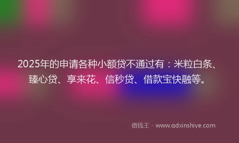2025年的申请各种小额贷不通过有：米粒白条、臻心贷、享来花、信秒贷、借款宝快融等。
