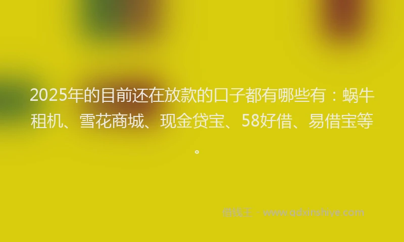 2025年的目前还在放款的口子都有哪些有：蜗牛租机、雪花商城、现金贷宝、58好借、易借宝等。