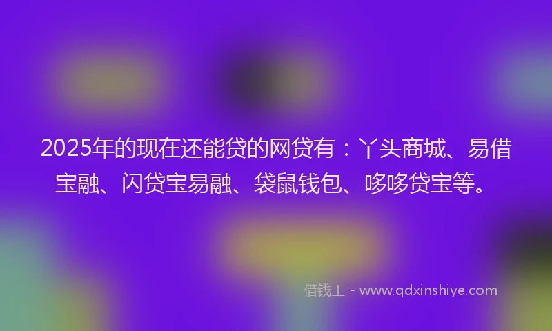 2025年的现在还能贷的网贷有：丫头商城、易借宝融、闪贷宝易融、袋鼠钱包、哆哆贷宝等。