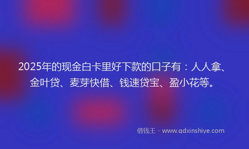 2025年的现金白卡里好下款的口子有：人人拿、金叶贷、麦芽快借、钱速贷宝、盈小花等。