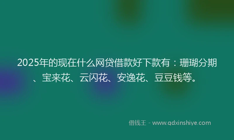 2025年的现在什么网贷借款好下款有：珊瑚分期、宝来花、云闪花、安逸花、豆豆钱等。