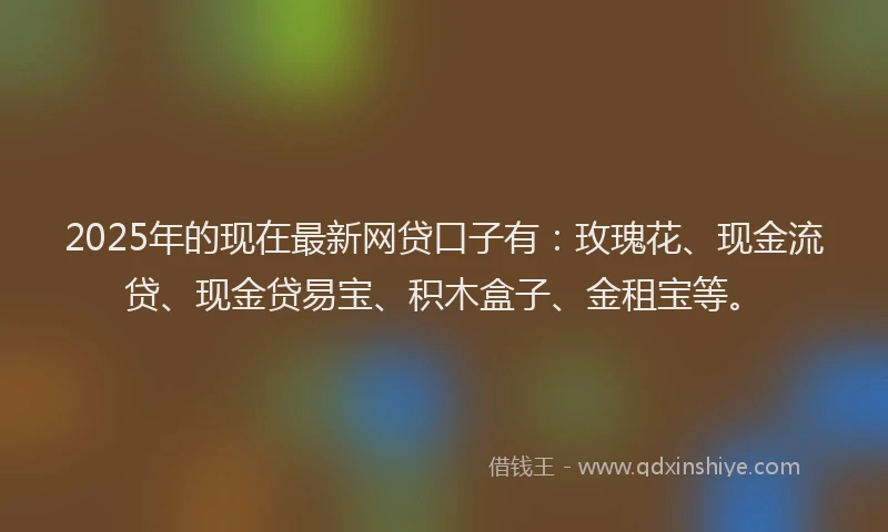 2025年的现在最新网贷口子有：玫瑰花、现金流贷、现金贷易宝、积木盒子、金租宝等。
