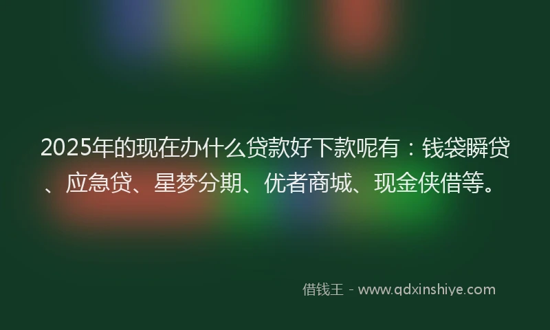 2025年的现在办什么贷款好下款呢有：钱袋瞬贷、应急贷、星梦分期、优者商城、现金侠借等。
