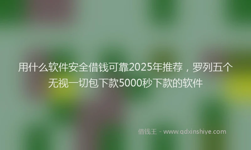用什么软件安全借钱可靠2025年推荐，罗列五个无视一切包下款5000秒下款的软件
