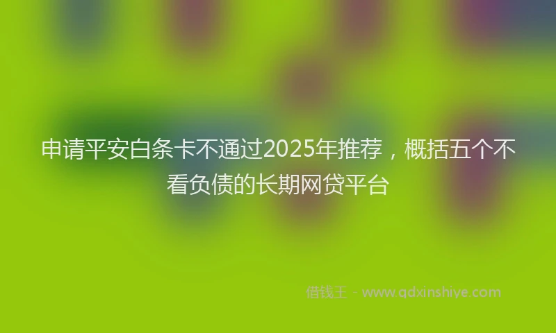申请平安白条卡不通过2025年推荐，概括五个不看负债的长期网贷平台
