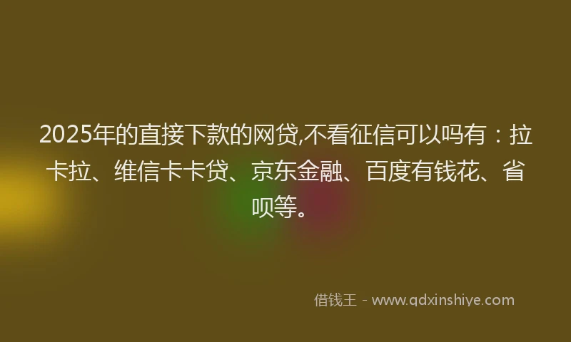 2025年的直接下款的网贷,不看征信可以吗有：拉卡拉、维信卡卡贷、京东金融、百度有钱花、省呗等。