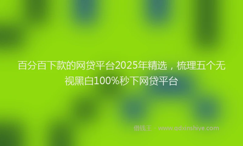 百分百下款的网贷平台2025年精选，梳理五个无视黑白100%秒下网贷平台