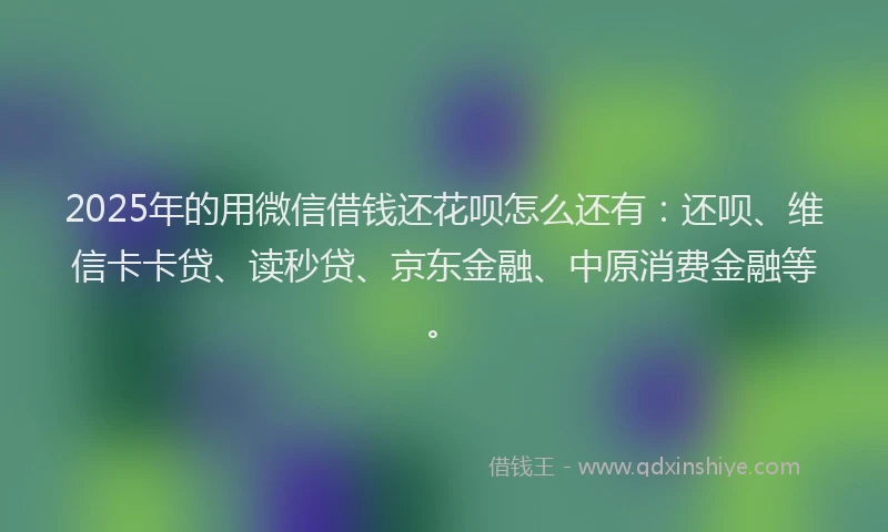 2025年的用微信借钱还花呗怎么还有：还呗、维信卡卡贷、读秒贷、京东金融、中原消费金融等。