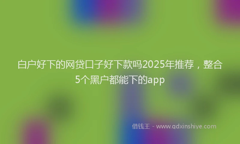 白户好下的网贷口子好下款吗2025年推荐，整合5个黑户都能下的app