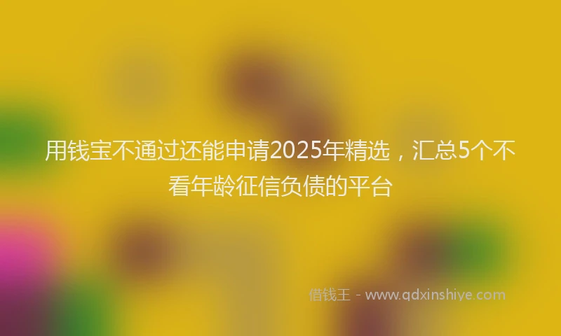用钱宝不通过还能申请2025年精选，汇总5个不看年龄征信负债的平台