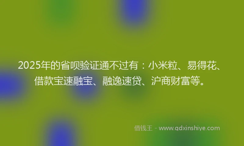 2025年的省呗验证通不过有：小米粒、易得花、借款宝速融宝、融逸速贷、沪商财富等。