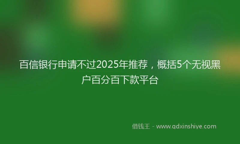 百信银行申请不过2025年推荐，概括5个无视黑户百分百下款平台