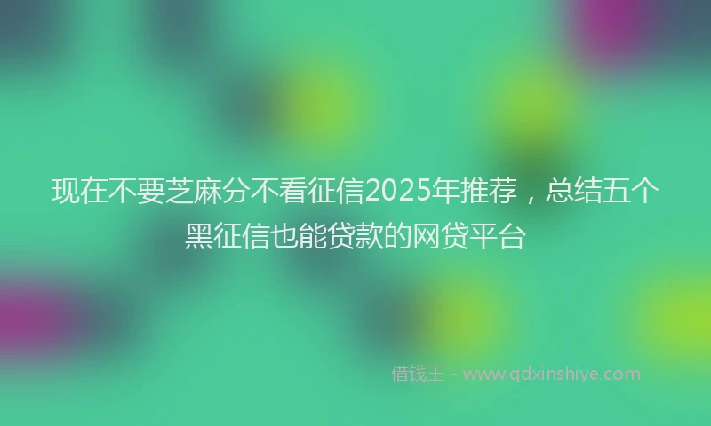 现在不要芝麻分不看征信2025年推荐，总结五个黑征信也能贷款的网贷平台