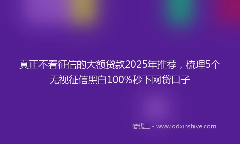 真正不看征信的大额贷款2025年推荐，梳理5个无视征信黑白100%秒下网贷口子