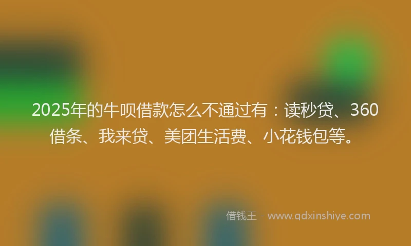 2025年的牛呗借款怎么不通过有：读秒贷、360借条、我来贷、美团生活费、小花钱包等。