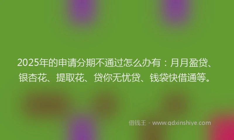 2025年的申请分期不通过怎么办有：月月盈贷、银杏花、提取花、贷你无忧贷、钱袋快借通等。
