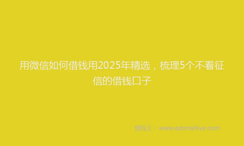 用微信如何借钱用2025年精选，梳理5个不看征信的借钱口子