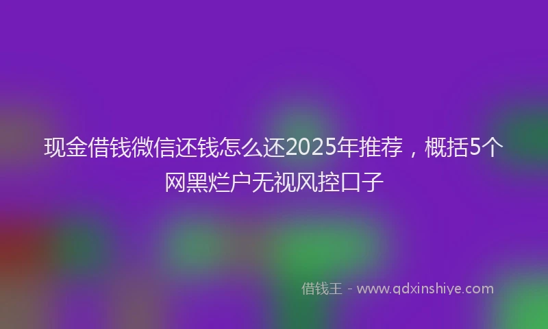 现金借钱微信还钱怎么还2025年推荐，概括5个网黑烂户无视风控口子