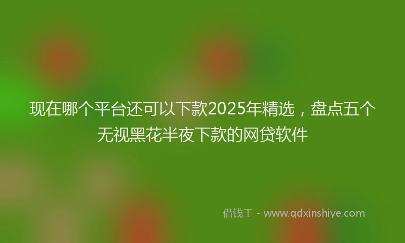 现在哪个平台还可以下款2025年精选，盘点五个无视黑花半夜下款的网贷软件
