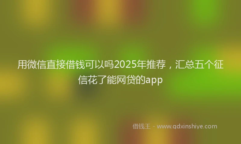 用微信直接借钱可以吗2025年推荐，汇总五个征信花了能网贷的app