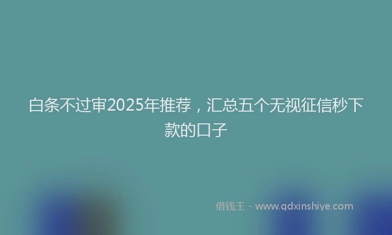 白条不过审2025年推荐，汇总五个无视征信秒下款的口子