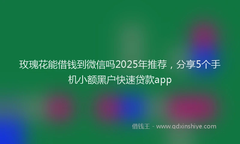 玫瑰花能借钱到微信吗2025年推荐，分享5个手机小额黑户快速贷款app