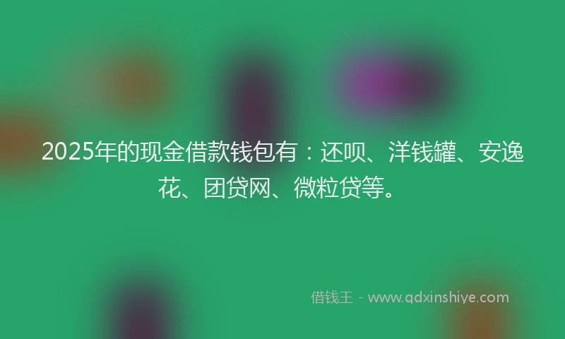 2025年的现金借款钱包有：还呗、洋钱罐、安逸花、团贷网、微粒贷等。