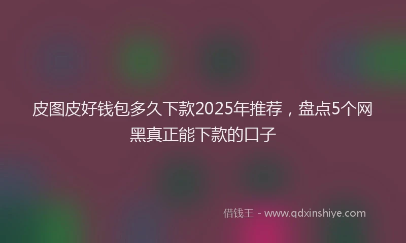 皮图皮好钱包多久下款2025年推荐，盘点5个网黑真正能下款的口子