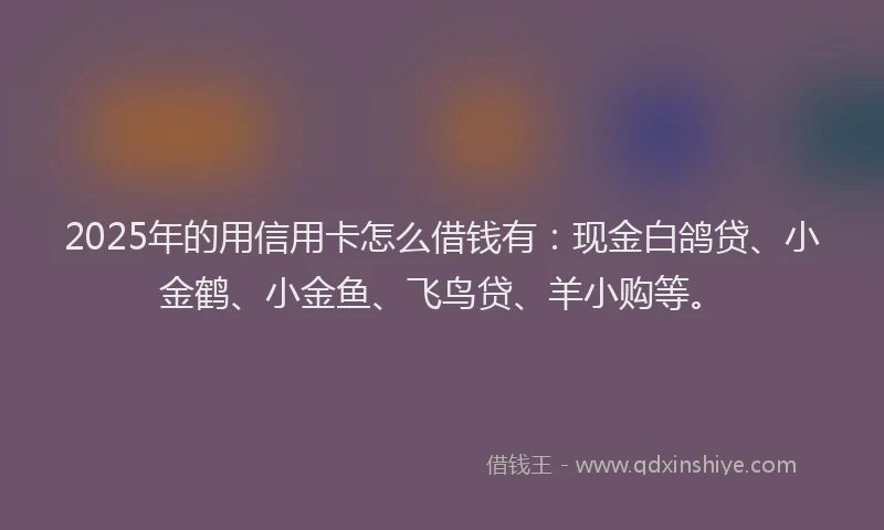 2025年的用信用卡怎么借钱有：现金白鸽贷、小金鹤、小金鱼、飞鸟贷、羊小购等。
