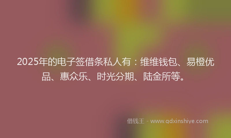 2025年的电子签借条私人有：维维钱包、易橙优品、惠众乐、时光分期、陆金所等。