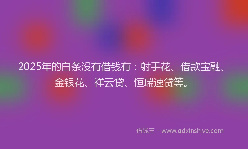 2025年的白条没有借钱有：射手花、借款宝融、金银花、祥云贷、恒瑞速贷等。