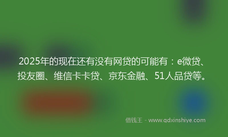 2025年的现在还有没有网贷的可能有：e微贷、投友圈、维信卡卡贷、京东金融、51人品贷等。