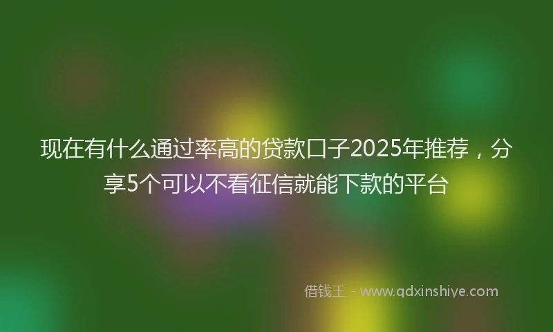 现在有什么通过率高的贷款口子2025年推荐，分享5个可以不看征信就能下款的平台
