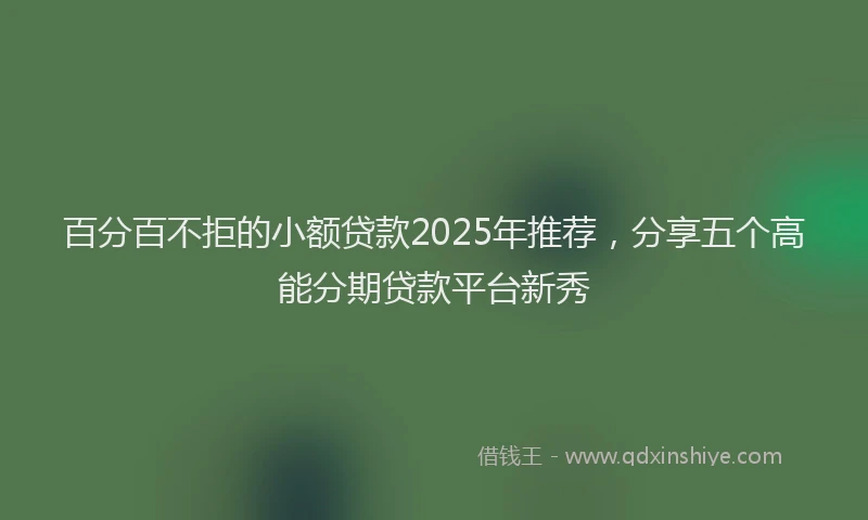 百分百不拒的小额贷款2025年推荐，分享五个高能分期贷款平台新秀