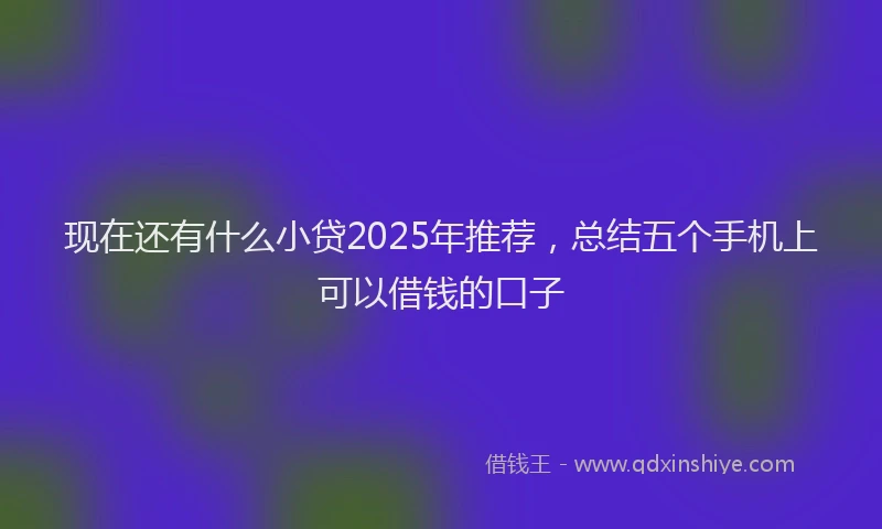 现在还有什么小贷2025年推荐，总结五个手机上可以借钱的口子