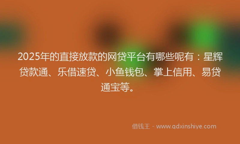 2025年的直接放款的网贷平台有哪些呢有：星辉贷款通、乐借速贷、小鱼钱包、掌上信用、易贷通宝等。