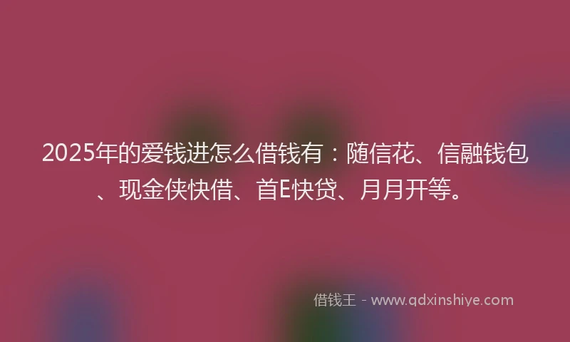 2025年的爱钱进怎么借钱有：随信花、信融钱包、现金侠快借、首E快贷、月月开等。