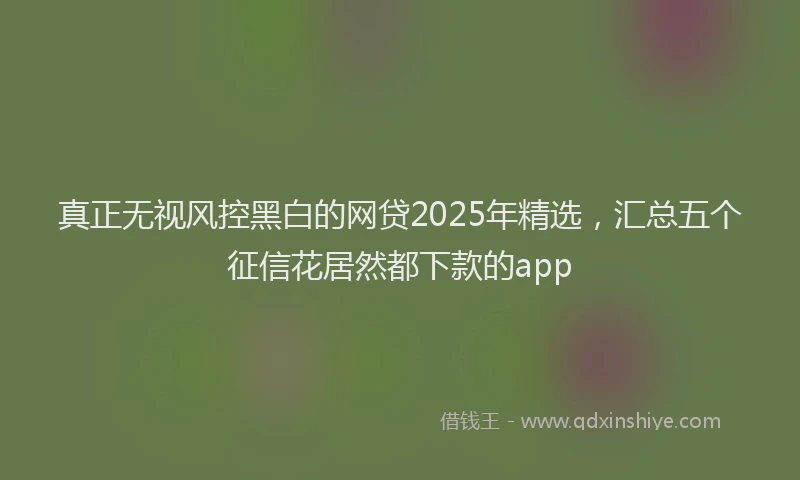 真正无视风控黑白的网贷2025年精选，汇总五个征信花居然都下款的app
